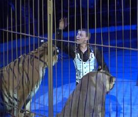 Аттракцион «Империя львиц» п/р Виталия Смолянец (Россия)/ Attraction “ Lioness’ Empire”. Trainer Vitaly Smolyanets (Russia)