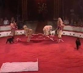 Большой цирк Скандинавии Benneweis. 3 часть. Gala programm 1887-1997. Benneweis Nordens største cirkus