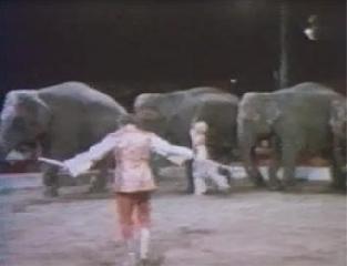 Цирковая программа. 2 часть. Cirgues du Monde. Le grande cirque BUSCH. 1973