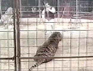 Всемирный 10 фестиваль в Масси 2002 г. 3 часть. 10 Festivai International Du Cirgue de Massy 2002