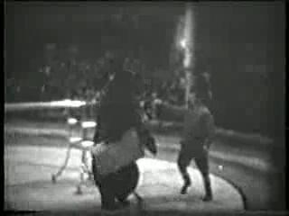  .  . 1965 